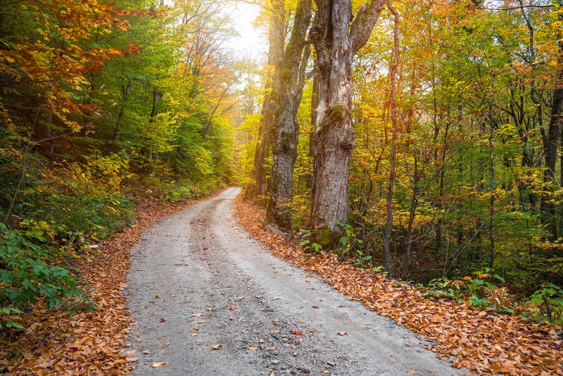 Narrow-dirt-road-1 (2).jpg