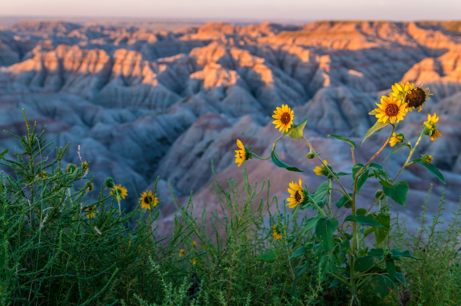 Canva-Badlands-South-Dakota-at-Sunrise-min-1536x1020 (1).jpg