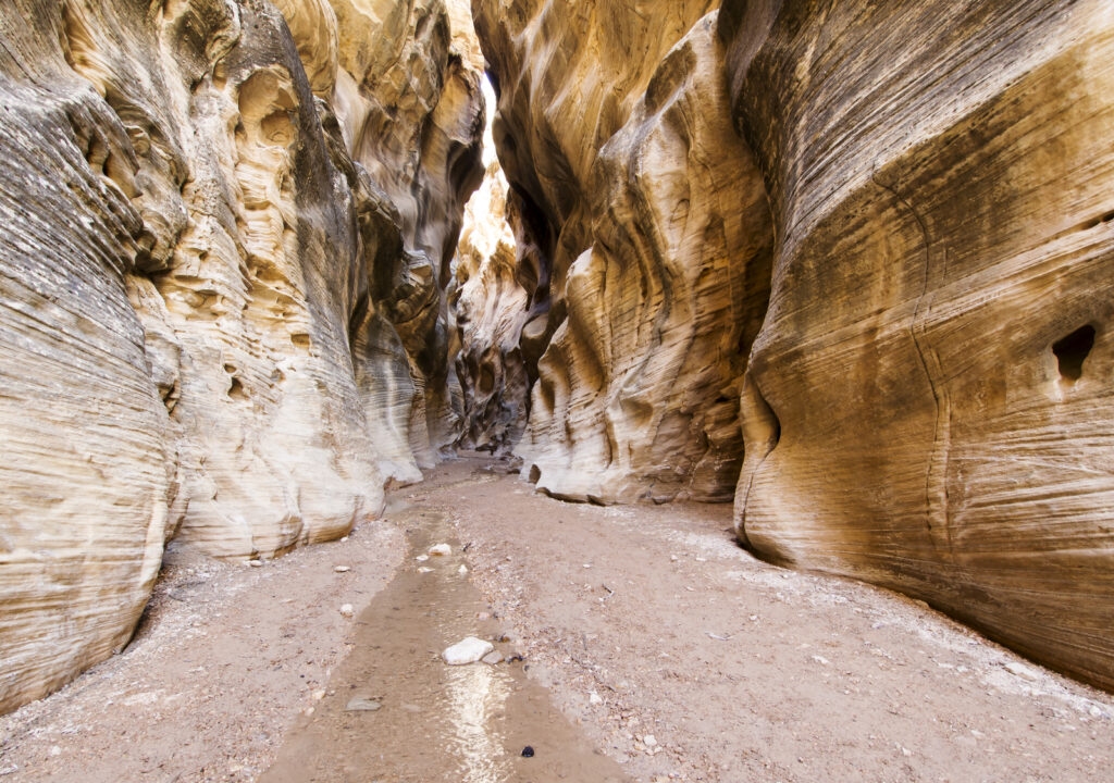 Pete's Dragon Canyoneering Trip