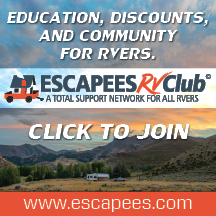 Guide To Texas Driver's License Requirements For RVers - Escapees RV Club