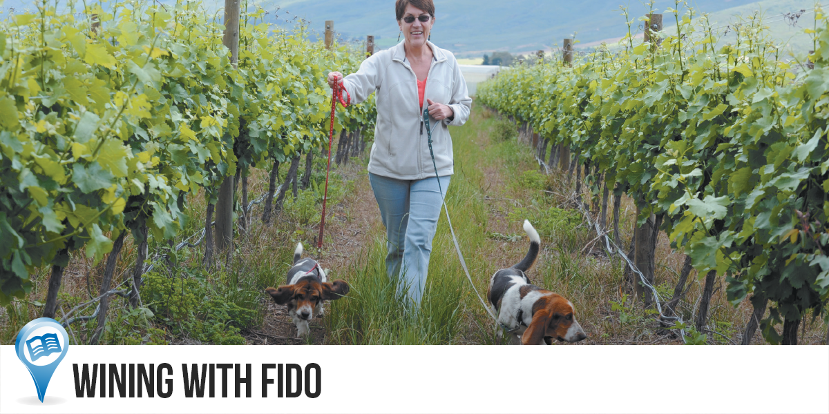 Wining-With-Fido