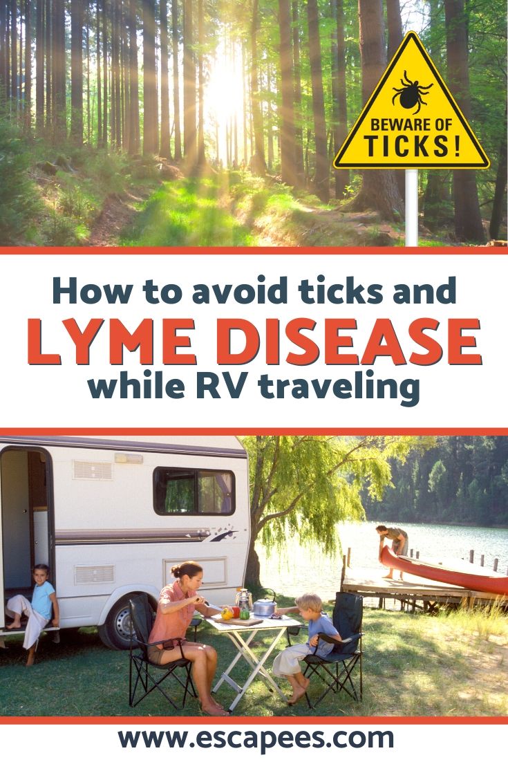 Avoiding Lyme Disease During RV Travel 4
