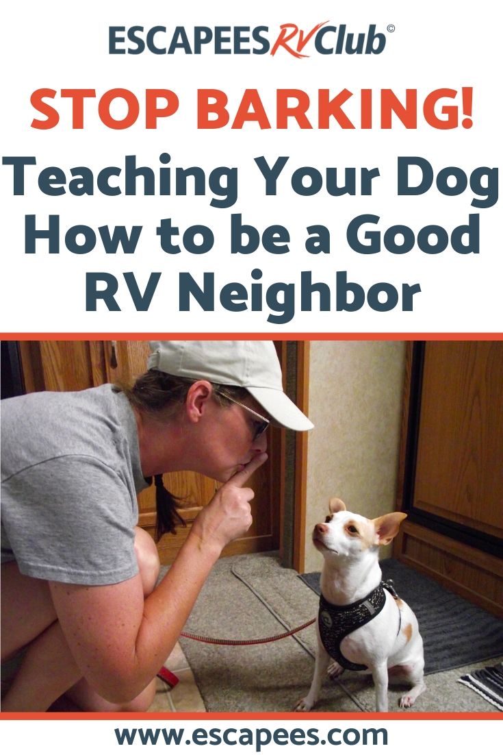 Stop Barking! How to Train Your Dog to be a Good RV Neighbor 5