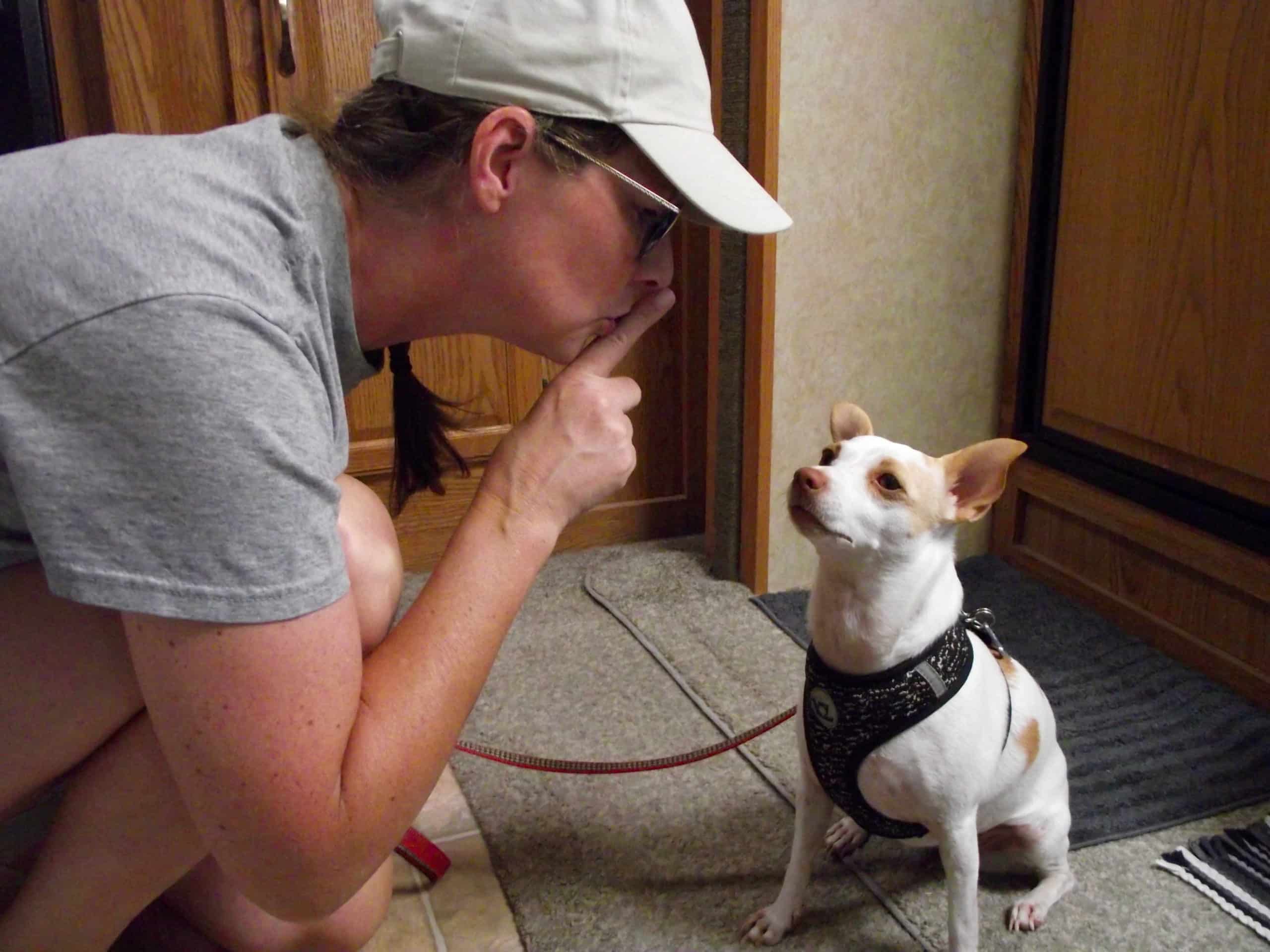 Stop Barking! How to Train Your Dog to be a Good RV Neighbor 1