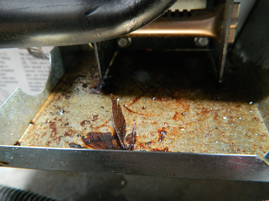 Brown Oily Residue in the Burner Housing