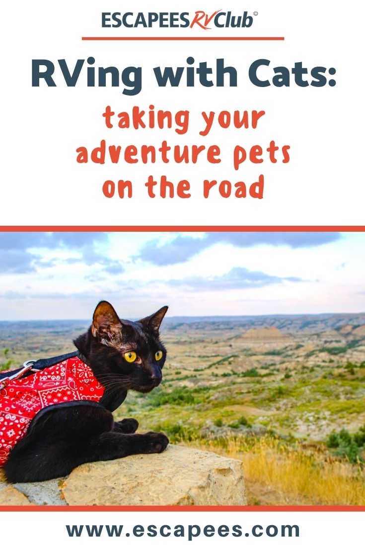 RVing with Cats: Taking Your Adventure Pets on the Road 7