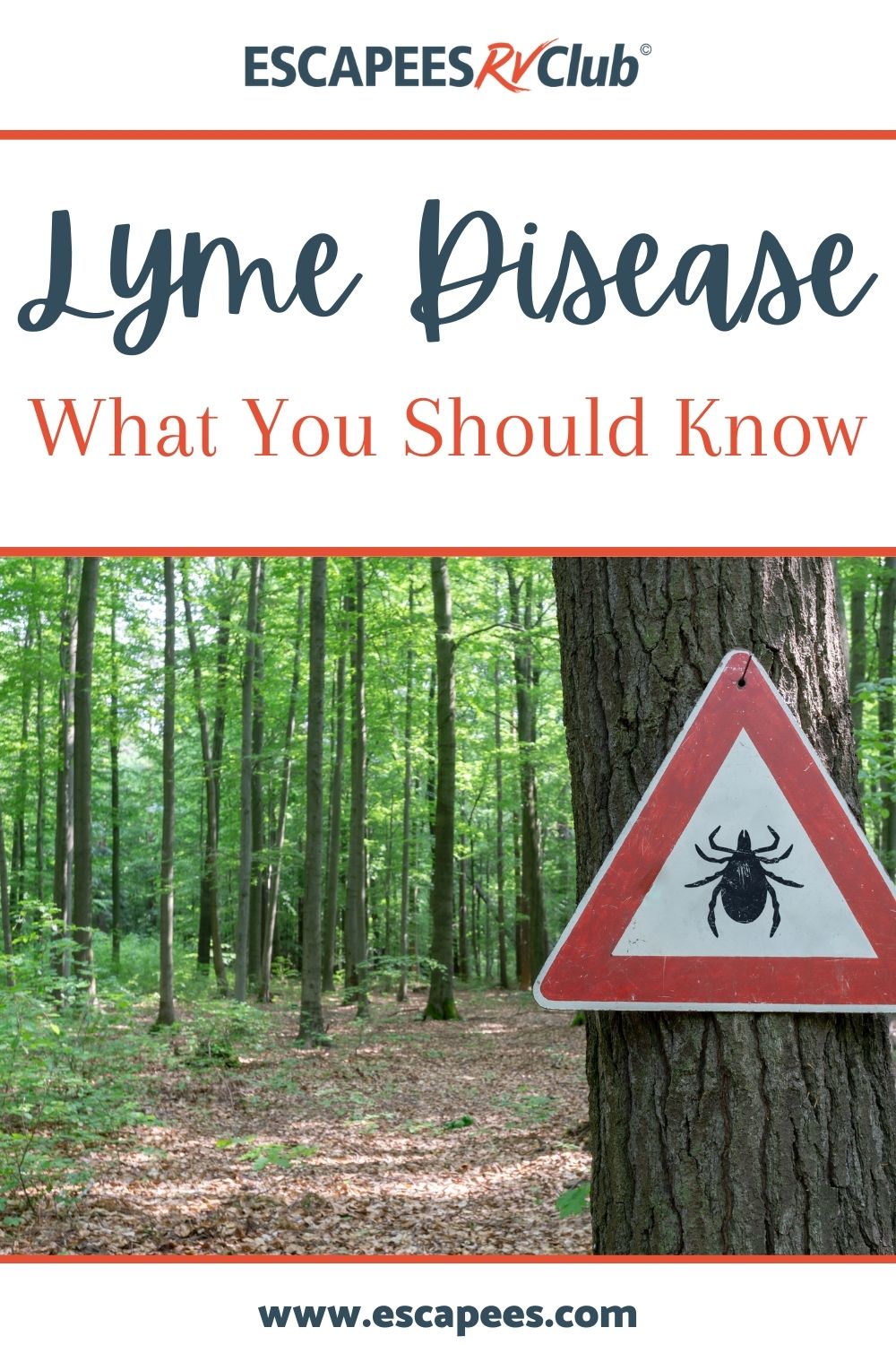Once Bitten, Twice Shy: What You Should Know About Lyme Disease 33