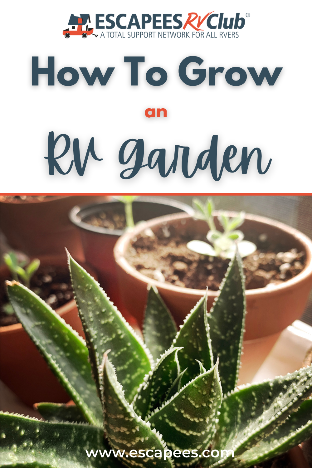 Growing an RV Garden 4