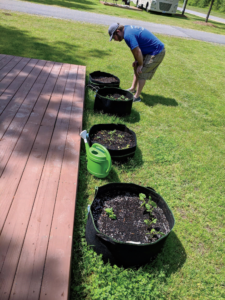 Growing an RV Garden 2