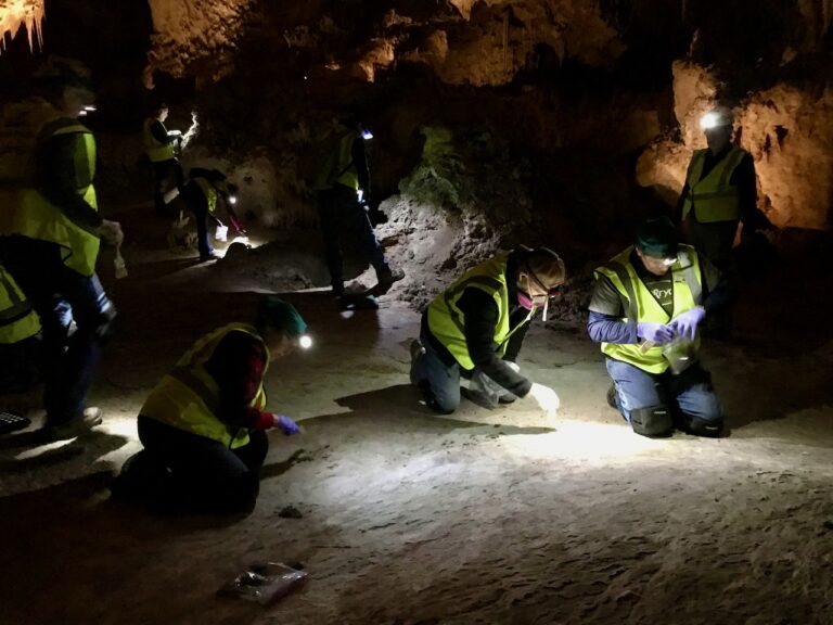 Carlsbad Caverns Restoration Hangout 2023 (Celebrate 100 years of volunteering at the Caverns!) 6