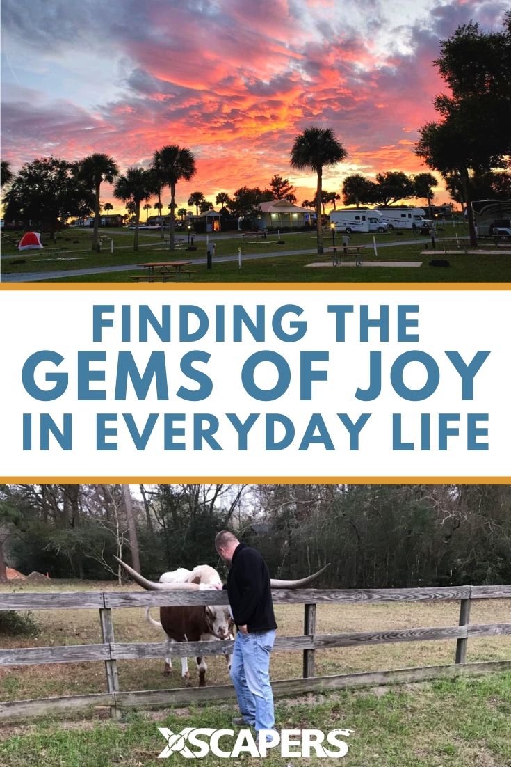 Finding the Gems of Joy in Everyday Life 6