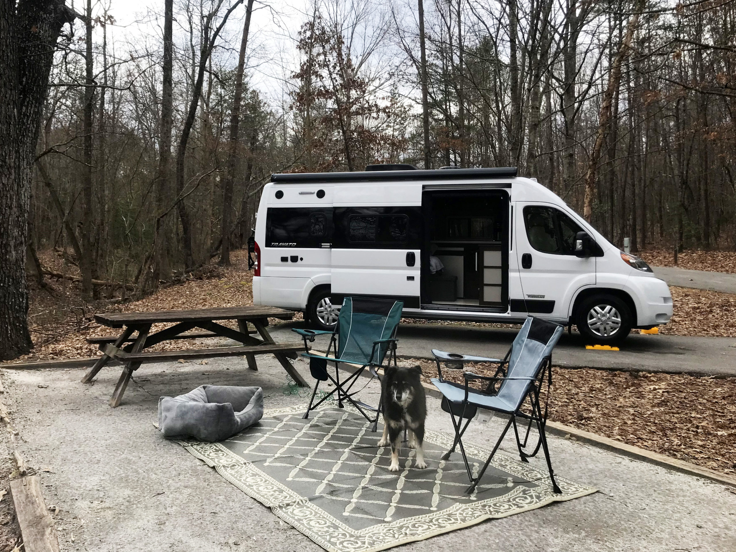Downsizing RVs: From Class A to Van Life 87