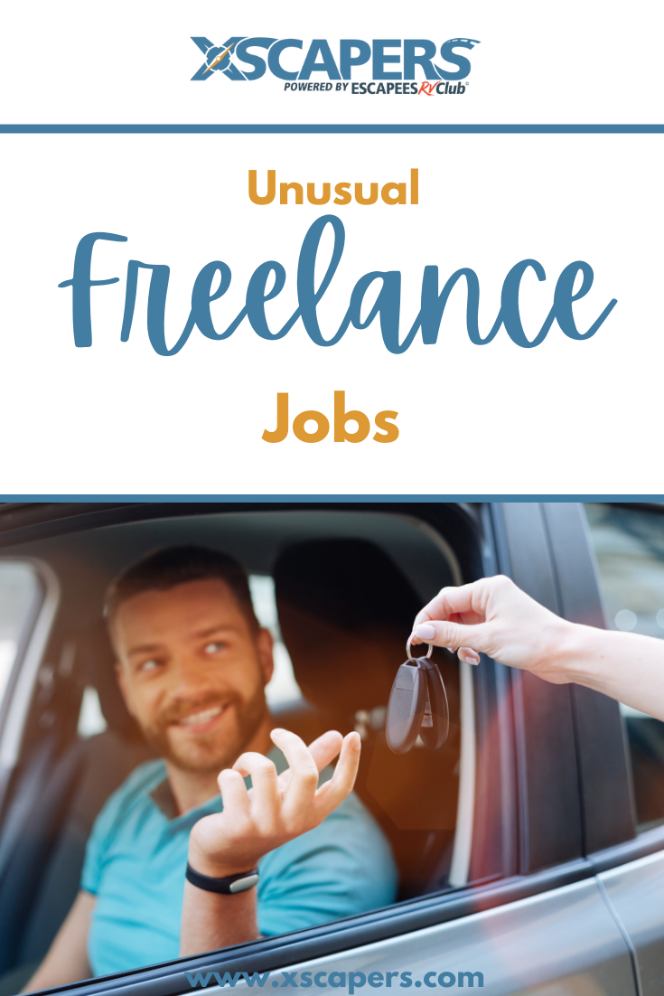 Unusual Freelance Jobs 4